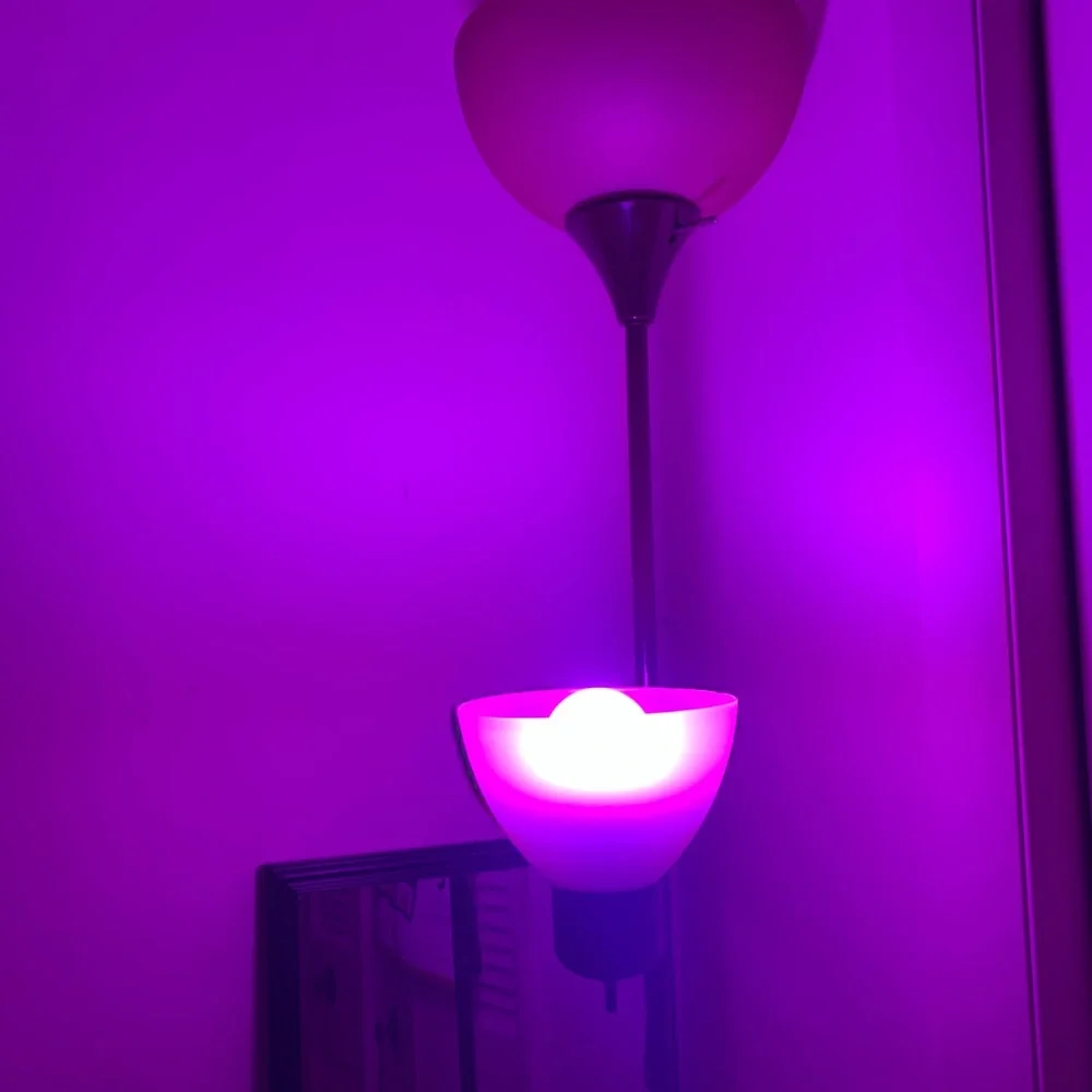 Set of (2) Purple LED light bulbs